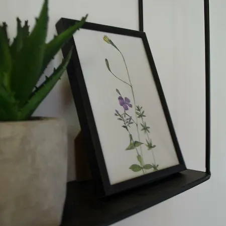 Oleander & Maison d'hôtes