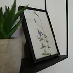 Oleander & Affittacamere