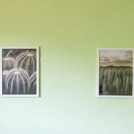 Konukevi Oleander & Sofya