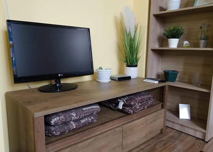 Oleander & 招待所 索菲亞