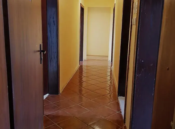 招待所 Oleander & 4*