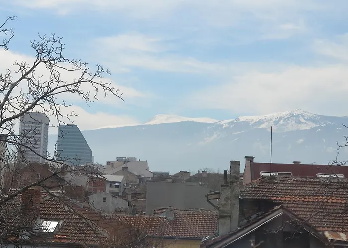 Oleander & 索菲亞