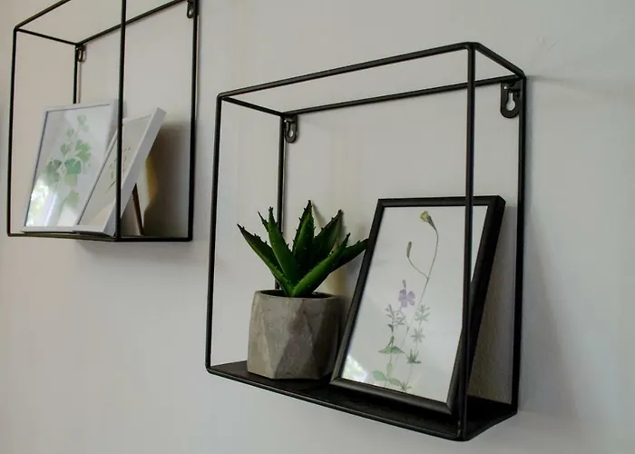 Oleander & 4* 索菲亞