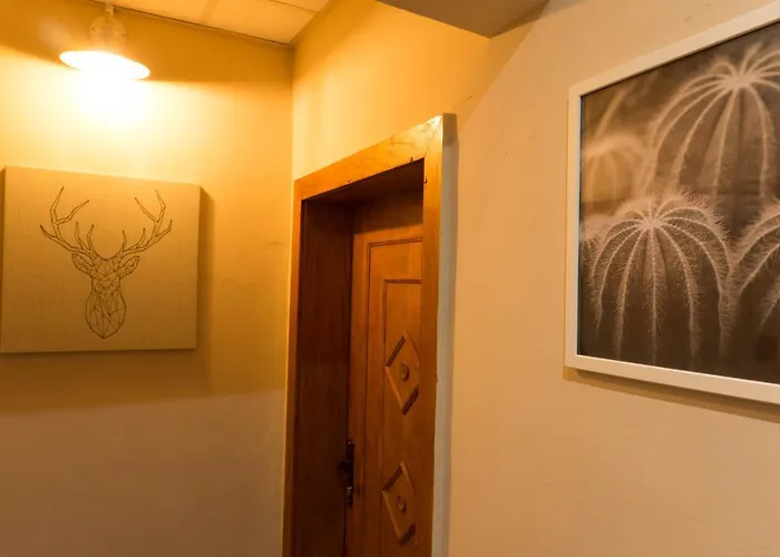 Oleander & ゲストハウス 4*