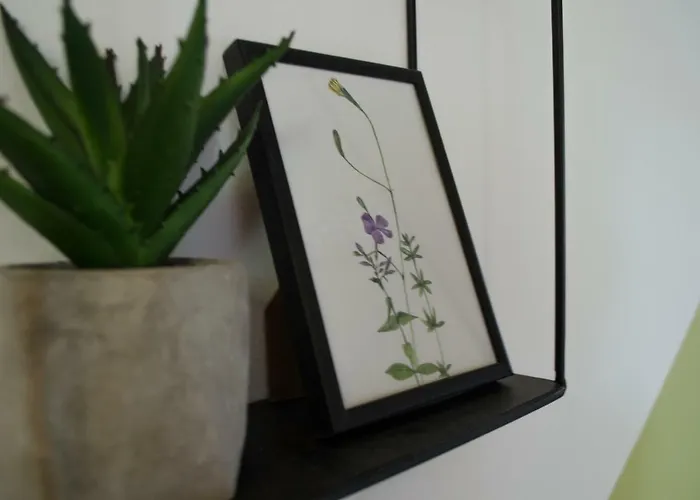 Oleander & ゲストハウス